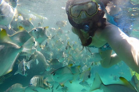 Moreton Island Snorkel And Sandboarding 4WD Day Trip From Brisbane - Sunshine Coast Tourism 7