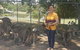 Lone Pine Koala Sanctuary Admission With Brisbane River Cruise - thumb 17