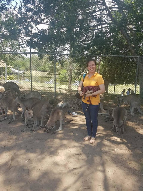 Lone Pine Koala Sanctuary Admission With Brisbane River Cruise - Sunshine Coast Tourism 17