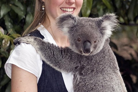 Lone Pine Koala Sanctuary Admission With Brisbane River Cruise - Sunshine Coast Tourism 1
