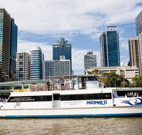 Lone Pine Koala Sanctuary Admission with Brisbane River Cruise - Sunshine Coast Tourism