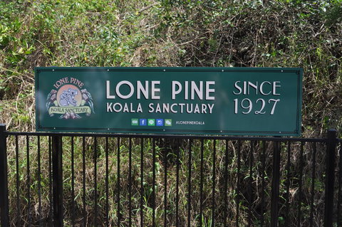 Lone Pine Koala Sanctuary Admission With Brisbane River Cruise - Sunshine Coast Tourism 7