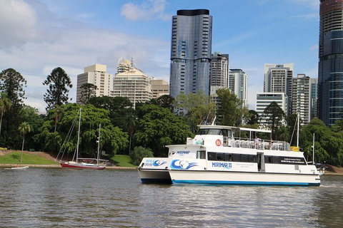 Lone Pine Koala Sanctuary Admission With Brisbane River Cruise - Sunshine Coast Tourism 32