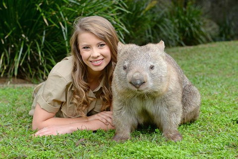 Small-Group Australia Zoo Day Trip From Brisbane - Sunshine Coast Tourism 5