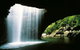 World Heritage Springbrook National Park Tour Including Natural Bridge - thumb 0