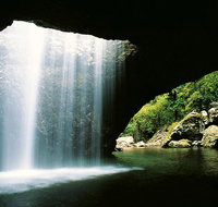 World Heritage Springbrook National Park Tour Including Natural Bridge - Sunshine Coast Tourism