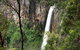 World Heritage Springbrook National Park Tour Including Natural Bridge - thumb 1