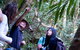 World Heritage Springbrook National Park Tour Including Natural Bridge - thumb 7