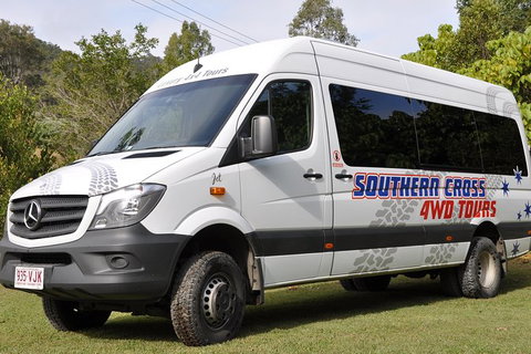 World Heritage Springbrook National Park Tour Including Natural Bridge - Sunshine Coast Tourism 5