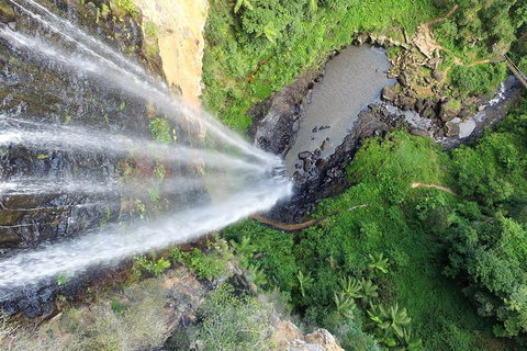 World Heritage Springbrook National Park Tour Including Natural Bridge - Sunshine Coast Tourism 6