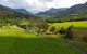 World Heritage Springbrook National Park Tour Including Natural Bridge - thumb 4