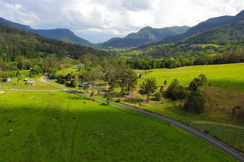 World Heritage Springbrook National Park Tour Including Natural Bridge - Sunshine Coast Tourism 4