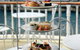 Brisbane River High Tea Cruise - thumb 2