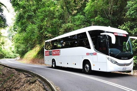 Palm Cove Departure Transfer - Palm Cove To Airport - Sunshine Coast Tourism 1