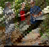 Mossman Gorge Dreamtime Walk and Low Isles Snorkeling and Sailing Cruise - Holiday Sunshine Coast