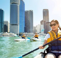 Brisbane Kayak Tour - Sunshine Coast Tourism