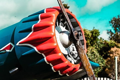 O\'Reilly\'s & Lamington National Park Incl. Alpaca Farm + Vineyard - Sunshine Coast Tourism 8