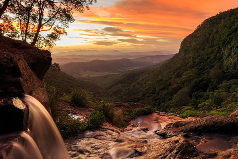 O\'Reilly\'s & Lamington National Park Incl. Alpaca Farm + Vineyard - Sunshine Coast Tourism 6