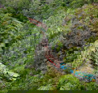 Kuranda Scenic Railway Day Trip from Port Douglas