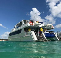 Eco Marine Safari - Boom netting  Snorkeling Moreton Island - Fortitude Valley - Sunshine Coast Tourism