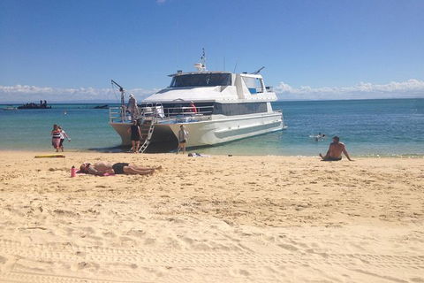 Eco Marine Safari - Boom Netting & Snorkeling Moreton Island - Fortitude Valley - Holiday Sunshine Coast 11