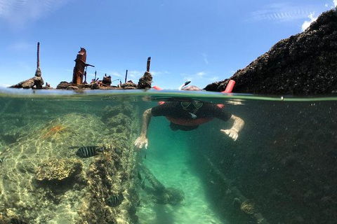 Eco Marine Safari - Boom Netting & Snorkeling Moreton Island - Fortitude Valley - Holiday Sunshine Coast 12
