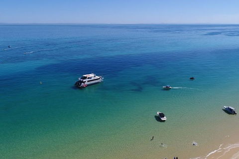 Eco Marine Safari - Boom Netting & Snorkeling Moreton Island - Fortitude Valley - Holiday Sunshine Coast 9