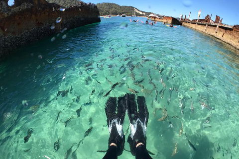 Eco Marine Safari - Boom Netting & Snorkeling Moreton Island - Fortitude Valley - Holiday Sunshine Coast 6