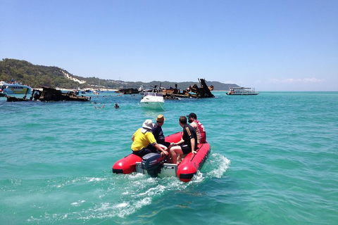 Eco Marine Safari - Boom Netting & Snorkeling Moreton Island - Fortitude Valley - Holiday Sunshine Coast 3
