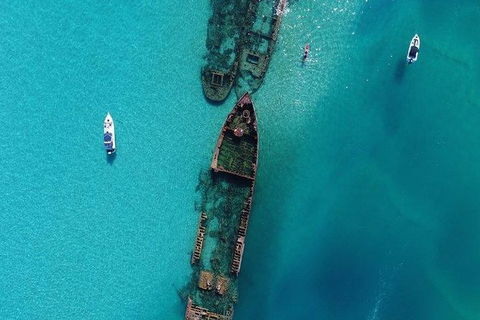 Eco Marine Safari - Boom Netting & Snorkeling Moreton Island - Fortitude Valley - Holiday Sunshine Coast 8