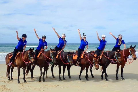 Rainbow Beach Horse Ride - Sunshine Coast Tourism 4
