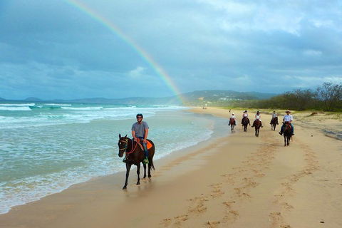 Rainbow Beach Horse Ride - Sunshine Coast Tourism 1