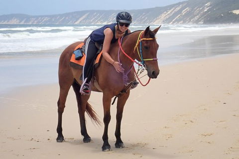 Rainbow Beach Horse Ride - Sunshine Coast Tourism 2