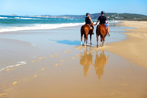 Rainbow Beach Horse Ride - Sunshine Coast Tourism 3