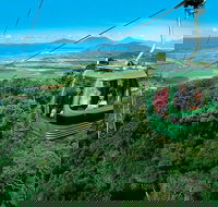 Small-Group Kuranda Village Skyrail Cableway and Scenic Railway Day Trip from Port Douglas