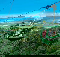 Kuranda Full-Day Small-Group Tour from Port Douglas