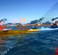 Port Douglas Half-Day Kayak Tour