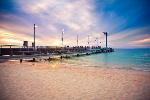 Dolphin Viewing Day Cruise To Tangalooma Island Resort On Moreton Island - Sunshine Coast Tourism 4