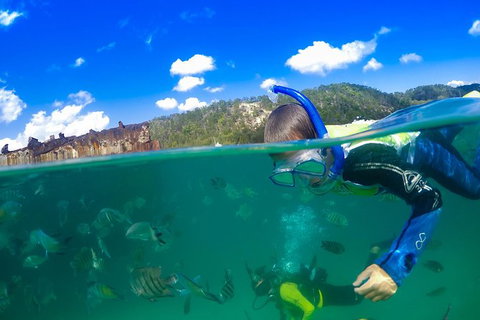 Dolphin Viewing Day Cruise To Tangalooma Island Resort On Moreton Island - Sunshine Coast Tourism 3