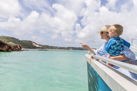 Dolphin Viewing Day Cruise To Tangalooma Island Resort On Moreton Island - Sunshine Coast Tourism 7