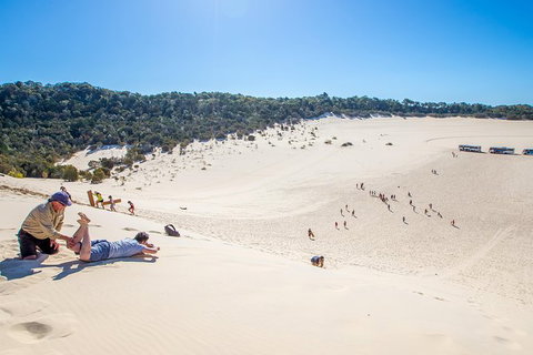 Dolphin Viewing Day Cruise To Tangalooma Island Resort On Moreton Island - Sunshine Coast Tourism 6