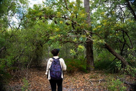 Pack-free Camping: Lake McKenzie Central Hike - 2 Days - Sunshine Coast Tourism 1