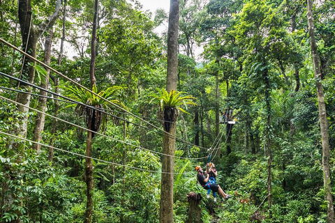 Cape Tribulation And Jungle Surfing Adventure Day From Port Douglas - Holiday Sunshine Coast 0