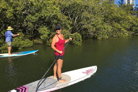 Stand Up Paddle Hire - Holiday Sunshine Coast 1