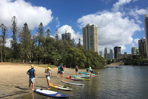 Stand Up Paddle Hire - Holiday Sunshine Coast 5