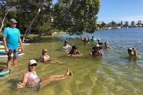 Stand Up Paddle Hire - Holiday Sunshine Coast 3