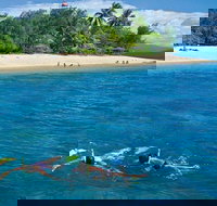 Wavedancer Low Isles Great Barrier Reef Sailing Cruise from Port Douglas