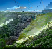 Skyrail Rainforest Cableway Day Trip from Port Douglas