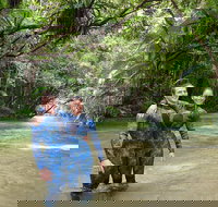 Mossman River Drift Snorkelling from Port Douglas or Mossman