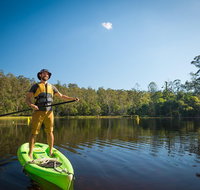 Walkabout Creek Adventures Stand Up Paddle Board Hire - Sunshine Coast Tourism